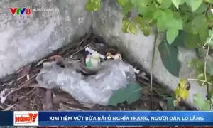 Kim tiêm bủa vây nghĩa trang