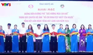 Khai mạc Quảng diễn lễ hội đường phố "Quê hương mùa Sen nở"