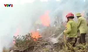 Tăng cường Phòng chống cháy rừng tại các khu du lịch Phong Nha Kẻ Bàng