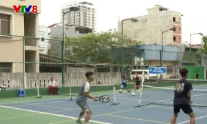 Chuẩn bị khởi tranh giải Quốc tế Pickleball cộng đồng cúp VTV8