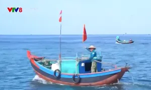 Tàu cá không trang bị phao cứu sinh vẫn vươn khơi