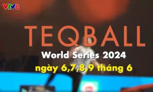 Giải thi đấu Teqball Thế giới 2024 tại Quy Nhơn