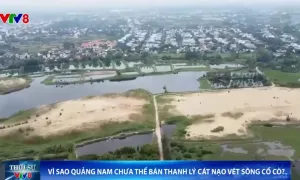 Vì sao Quảng Nam chưa thể bán thanh lý cát nạo vét sông Cổ Cò?