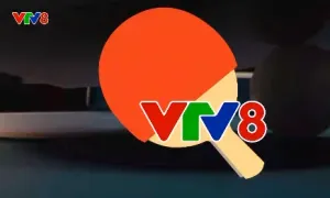 Sẵn sàng cho giải Bóng bàn truyền thống tranh Cup VTV8 lần thứ VII năm 2024