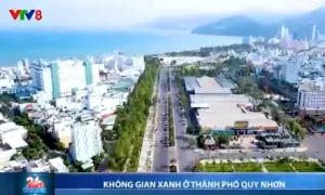 Không gian xanh ở thành phố Quy Nhơn