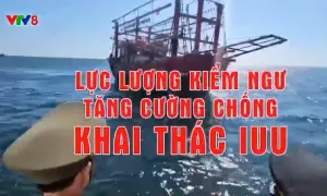 Lực lượng Kiểm ngư tăng cường chống khai thác IUU.