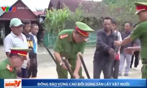 Mô hình "Đổi súng săn lấy heo đen"