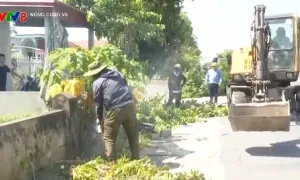 Quảng Bình giải toả hành lang an toàn giao thông trên quốc lộ