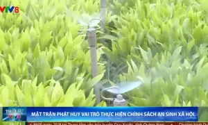 Vai trò trụ cột của các cấp Mặt trận Tổ quốc Việt Nam tại TP Đà Nẵng