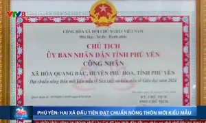 Phú Yên: Hai xã đầu tiên đạt chuẩn nông thôn mới kiểu mẫu