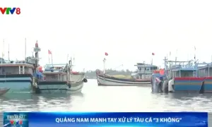 Quảng Nam mạnh tay xử lý tàu cá "3 không"