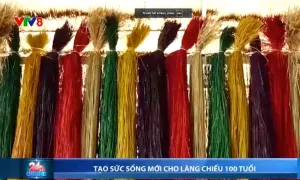 Tạo sức sống mới cho làng chiếu 100 tuổi