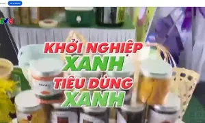 Khởi nghiệp xanh, tiêu dùng xanh