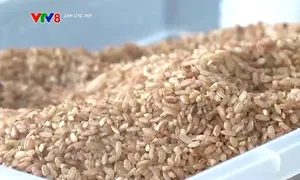 Quảng Ngãi phát triển sản phẩm OCOP
