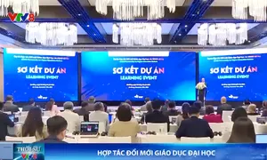Hợp tác đổi mới giáo dục đại học