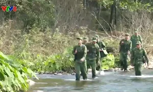 Bộ đội Biên phòng Hà Tĩnh đảm bảo bình yên cho nhân dân vui xuân, đón Tết