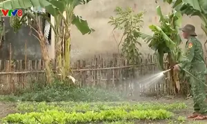 Đồng bào biên giới Kon Tum thoát nghèo nhờ mô hình của bộ đội biên phòng