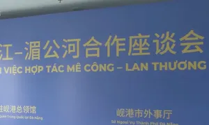 Thúc đẩy cơ chế "Hợp tác Mekong - Lan Thương"