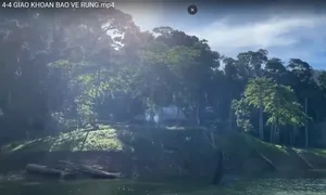 Loay hoay mô hình giữ rừng