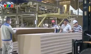 Doanh nghiệp gỗ xuất khẩu tìm hướng đi