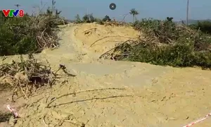 Xuất hiện bùn trào từ lòng đất