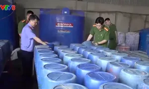 Nghệ An khởi tố 4 đối tượng sản xuất 3.500 tấn giá đỗ ngâm hóa chất