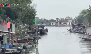 Huế chưa chấm dứt tình trạng "du cư trên nước"