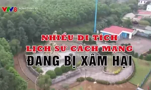 Nhiều di tích lịch sử đang bị xâm hại
