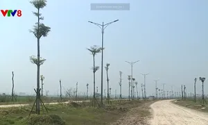Dự án giao thông kéo dài hơn 7 năm