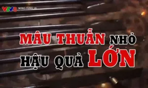 Mâu thuẫn nhỏ - Hậu quả lớn