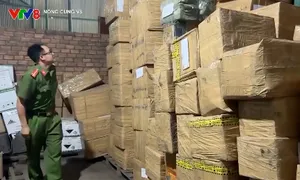 Đắk Lắk khởi tố 2 đối tượng buôn lậu thuốc bảo quản, làm chín sầu riêng