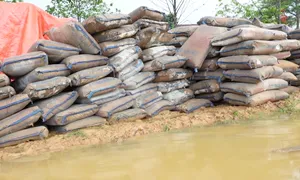 Làm rõ trách nhiệm vụ hơn 200 tấn xi măng xây dựng nông thôn mới bị hư hỏng