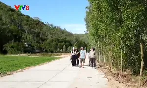 Người dân Phú Yên hiến đất mở đường