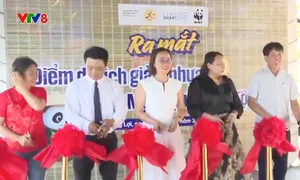 Điểm du lịch giảm nhựa Ngư Mỹ Thạnh - Cồn Tộc