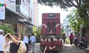 Triển khai chạy tàu du lịch Quy Nhơn - Diêu Trì