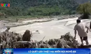 Nghệ An: Lũ quét gây thiệt hại cho người dân miền núi