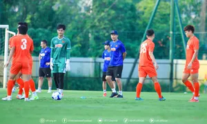 ĐT Việt Nam vẫn chưa có đầy đủ lực lượng