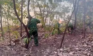 Bộ đội Biên phòng TP Huế huy động lực lượng phối hợp chữa cháy rừng