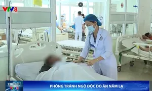 Phòng tránh ngộ độc do ăn nấm lạ