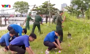 Hưởng ứng Tháng hành động vì môi trường, Tuần lễ biển và hải đảo Việt Nam năm 2025