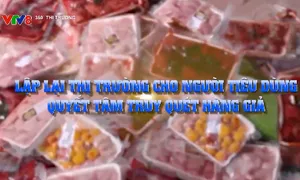Lập lại thị trường cho người tiêu dùng, quyết tâm truy quét hàng giả