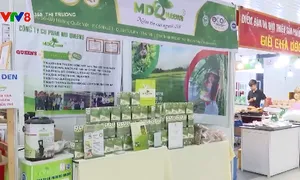 Khai mạc Hội chợ hàng Việt Đà Nẵng