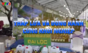 Thắp lửa và đồng hành cùng khởi nghiệp