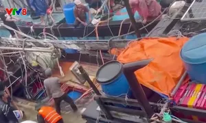 Bộ đội Biên phòng thành phố Huế kịp thời cứu hộ tàu cá bị chìm