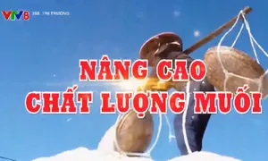 Nâng cao chất lượng muối