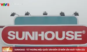 Sunhouse - Từ thương hiệu quốc dân đến cứ điểm sản xuất toàn cầu