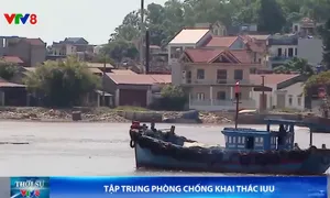 Thanh Hóa tập trung phòng chống khai thác IUU