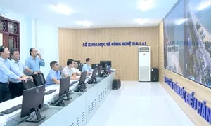 Bình Định: Đảm bảo hệ thống thông tin vận hành chính quyền mới