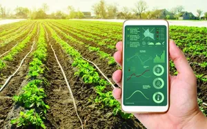 Ứng dụng AI và dữ liệu trong nông nghiệp: Cơ hội vàng để Việt Nam bứt phá