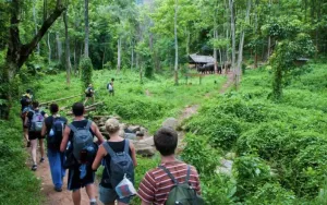 Xu hướng du lịch bền vững tại các Vườn quốc gia: Thiên nhiên là di sản cần bảo vệ